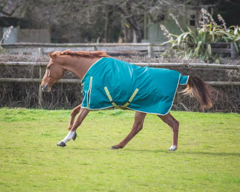 Bridleway Ontario 100g Turnout Rug in Green 